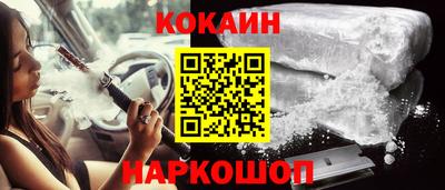 крисы Новодвинск