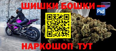 крисы Новодвинск