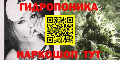 крисы Новодвинск
