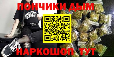 крисы Новодвинск