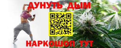 крисы Новодвинск