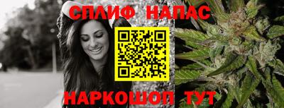 крисы Новодвинск
