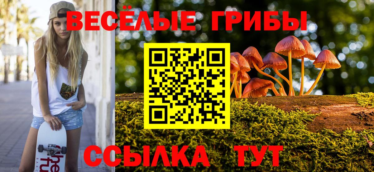 сколько стоит  Псилоцибиновые грибы GOLDEN TEACHER  Вход с VPN  Галлюциногенные грибы Magic Shrooms  Заринск 