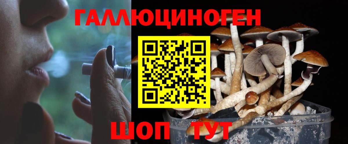 Псилоцибиновые грибы Cubensis Заринск